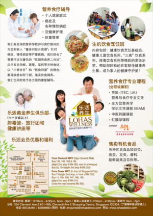 Flyer (Chinese)